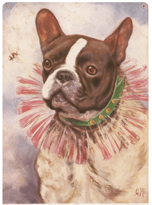 The French Bulldog Heritage and Art